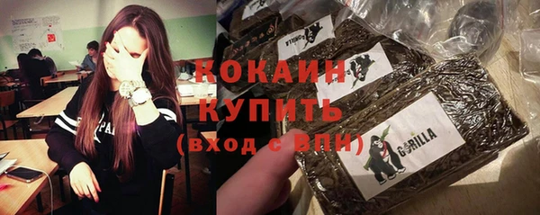 дмт Переславль-Залесский