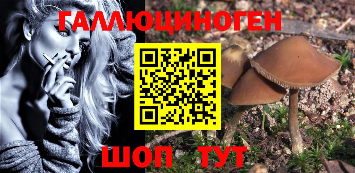 Псилоцибиновые грибы GOLDEN TEACHER  Вход с VPN  Холмск 