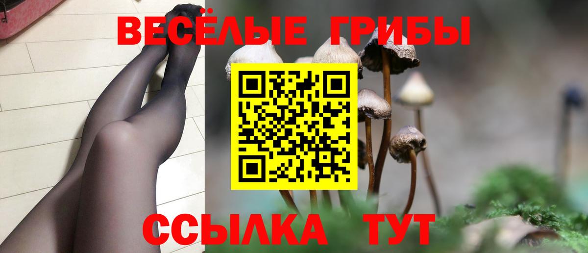 Псилоцибиновые грибы прущие грибы Холмск